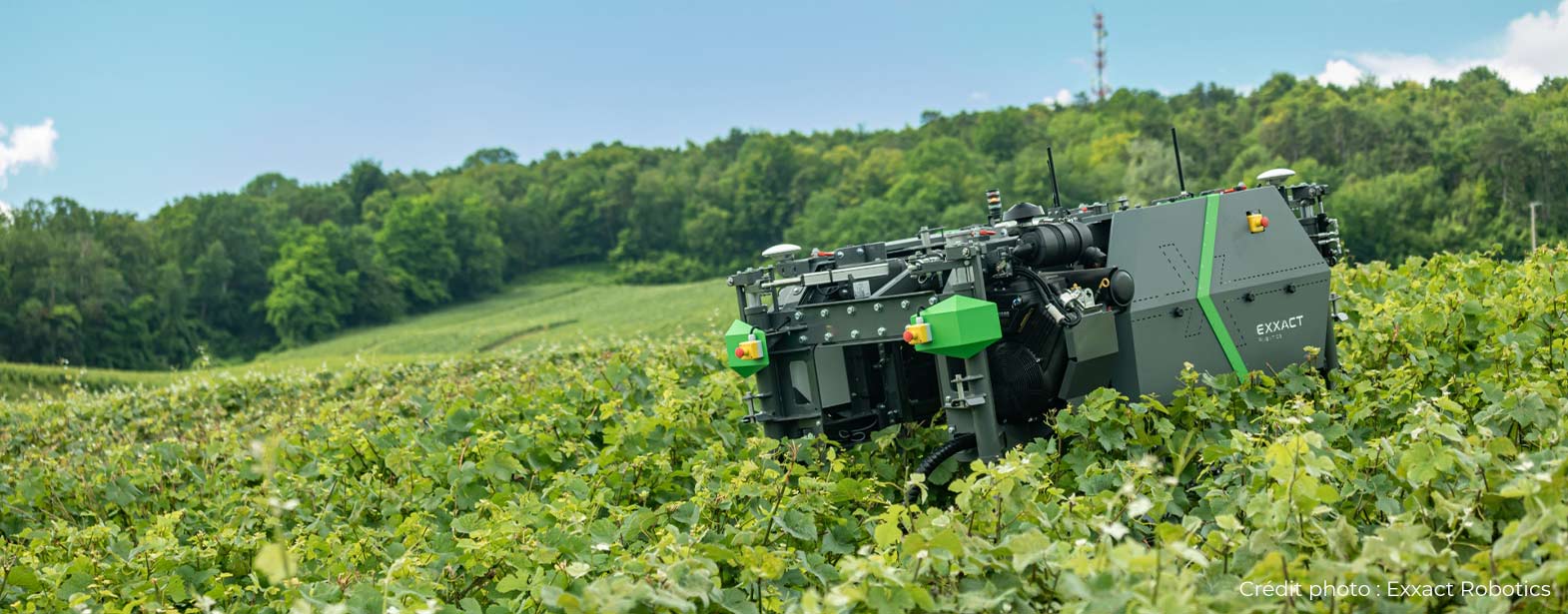 Le robot viticole TRAXX est un engin autonome dont la morphologie a été specialement pensée pour la culture de la vigne.